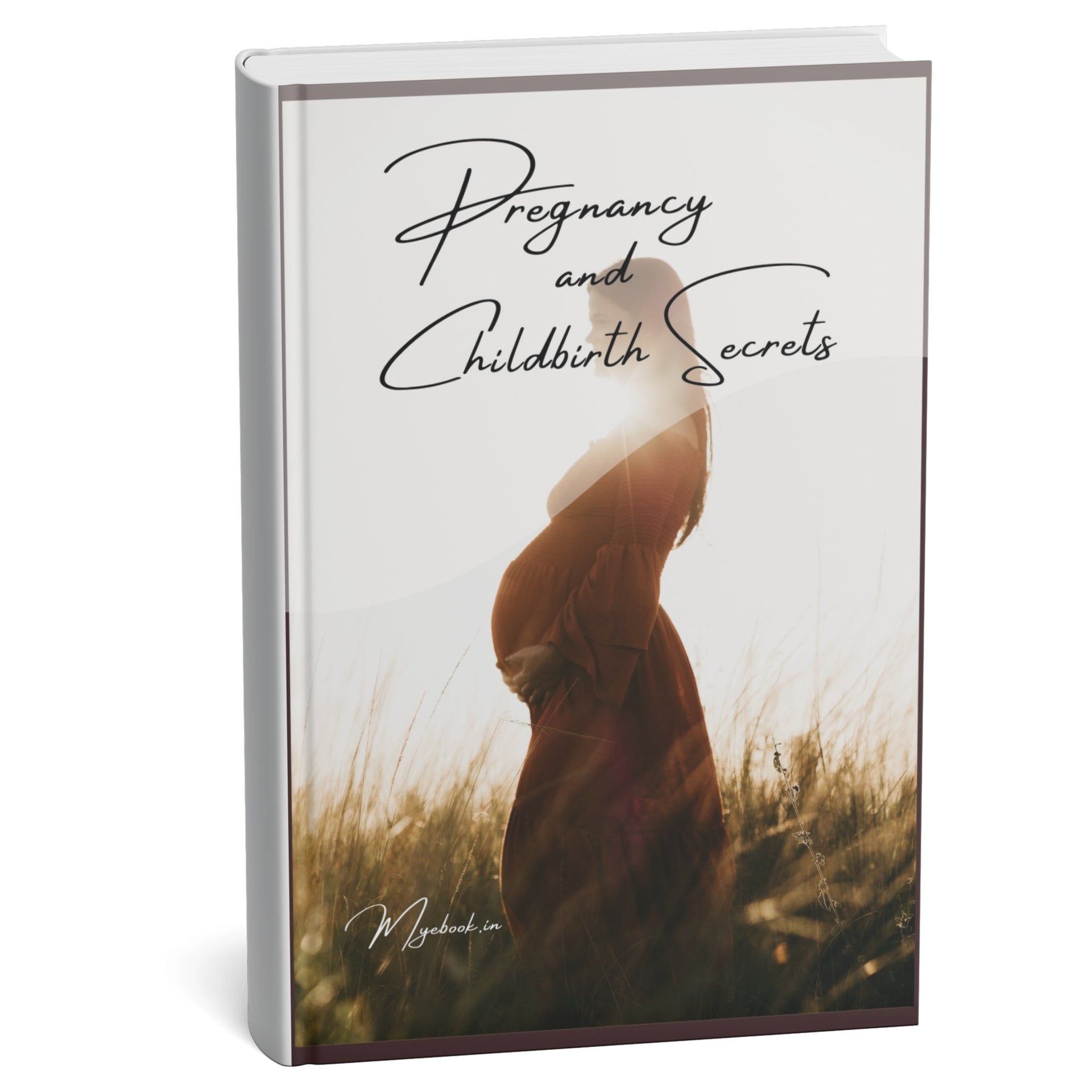 Pregnancy and Childbirth Secrets