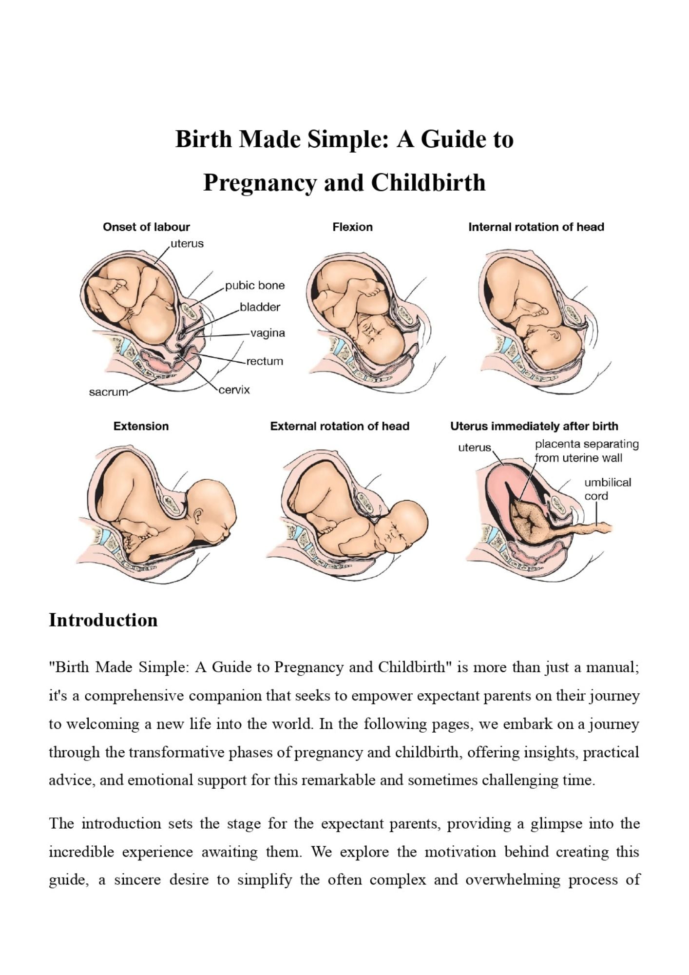 Birth Made Simple: A Guide to Pregnancy and Childbirth