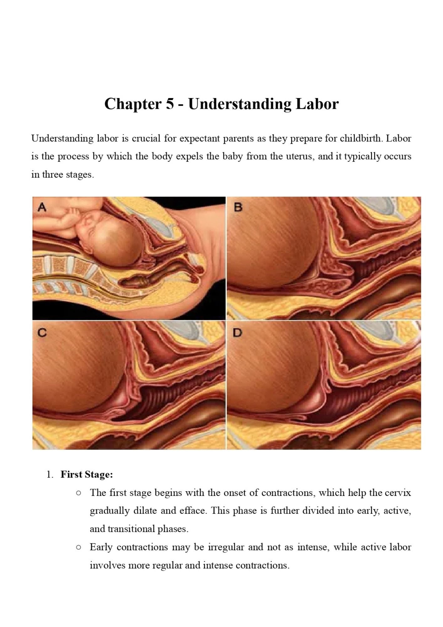 Birth Made Simple: A Guide to Pregnancy and Childbirth