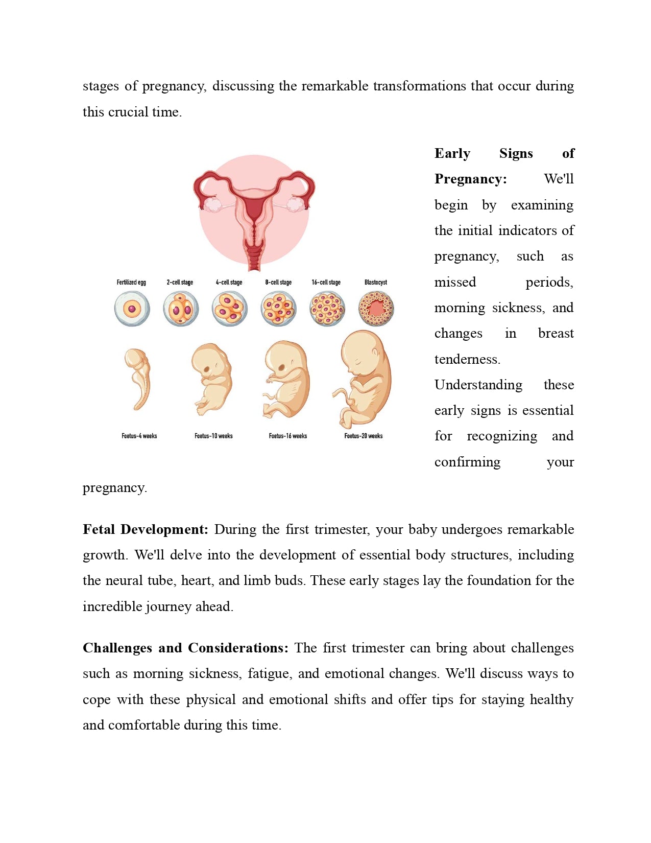 Pregnancy Brain: Your Essential Guide