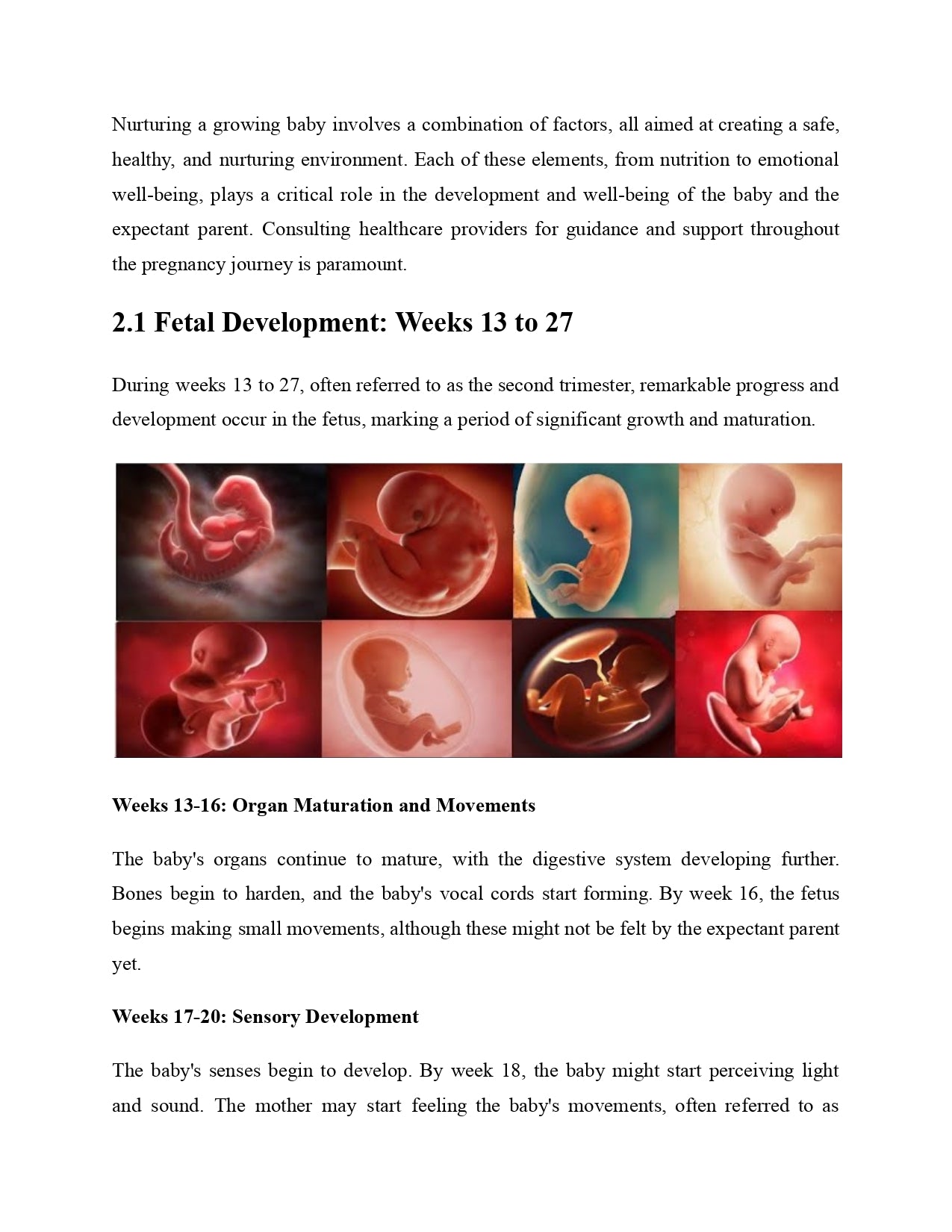 Pregnancy From A to Z: The Complete Guide