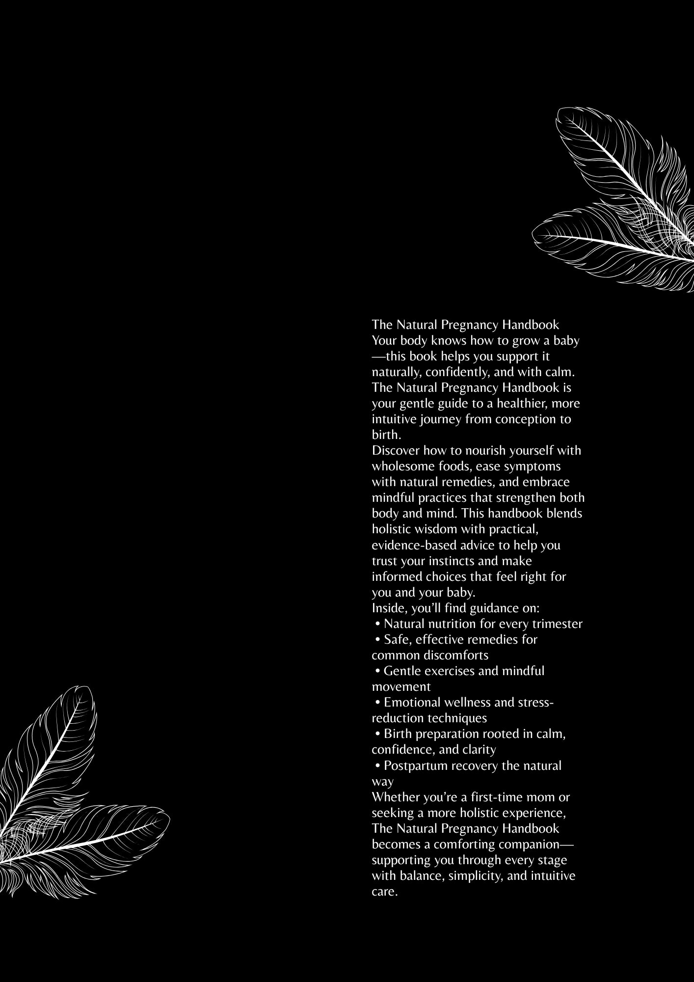The Natural Pregnancy Handbook