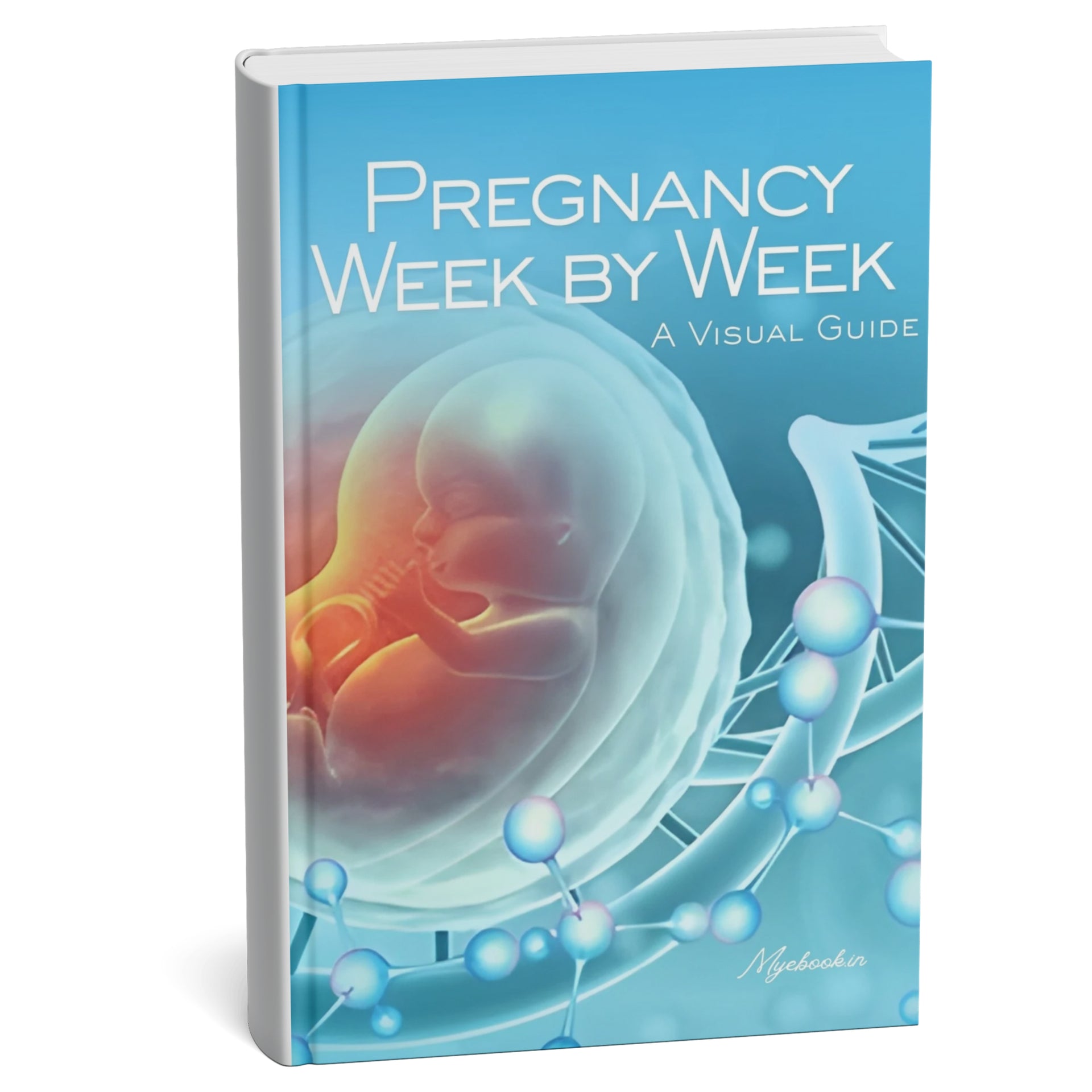 Pregnancy Week by Week: A Visual Guide