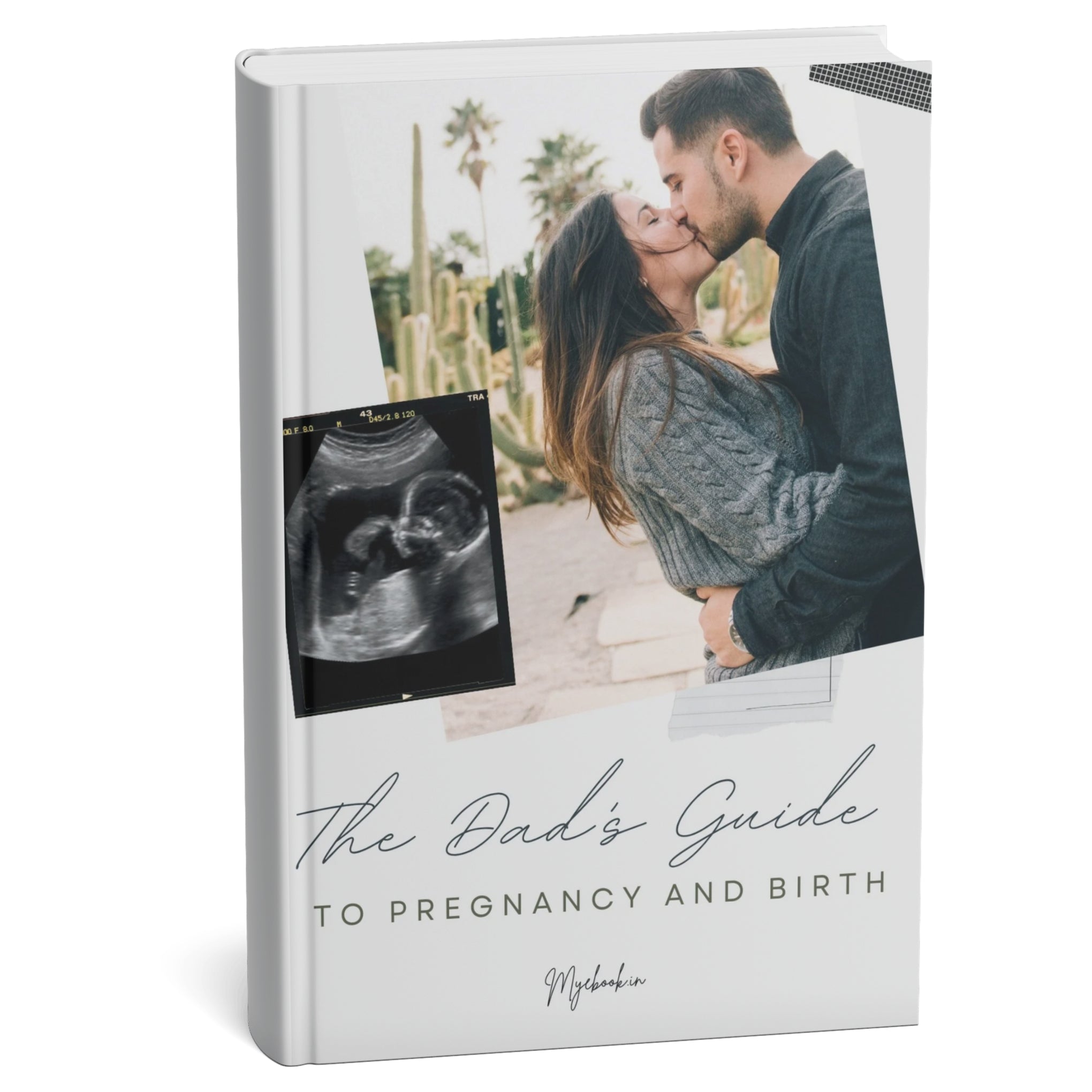 The Dad's Guide to Pregnancy and Birth