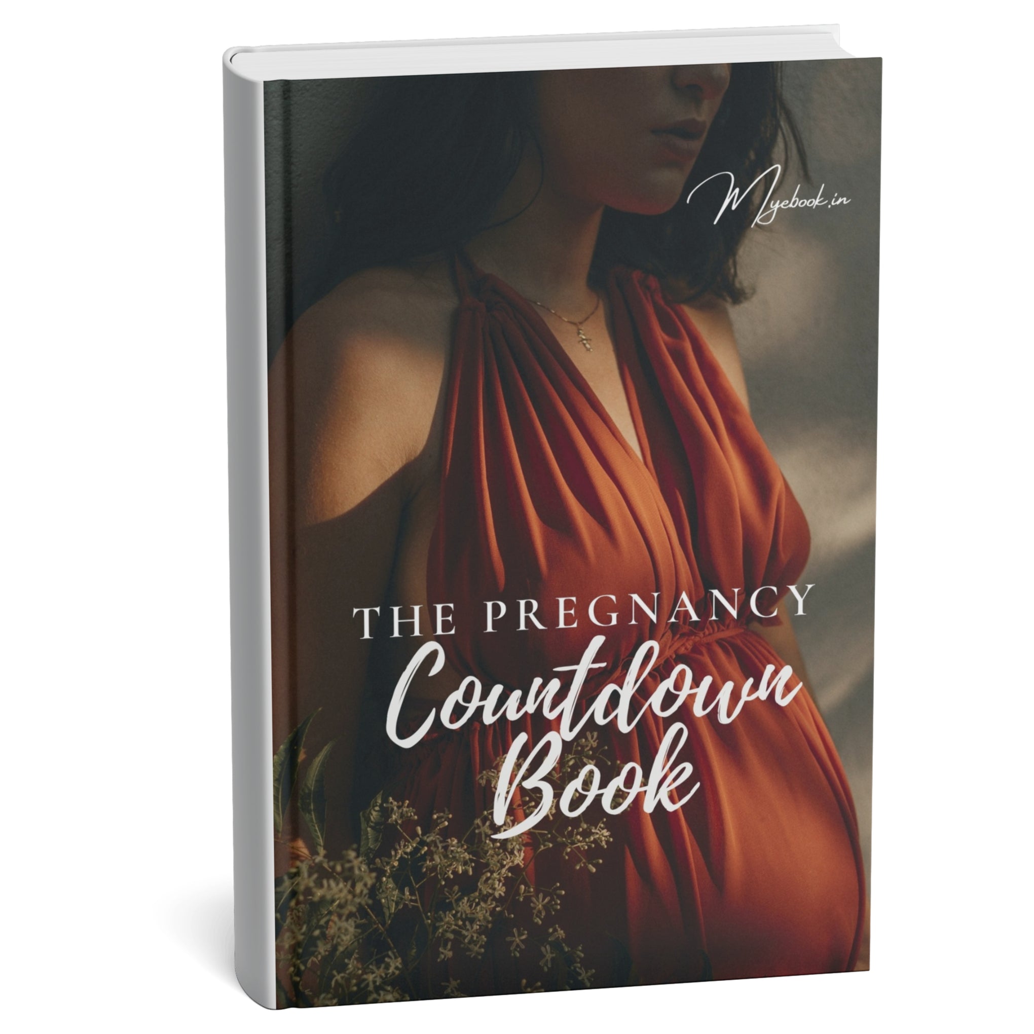 The Pregnancy Countdown Book