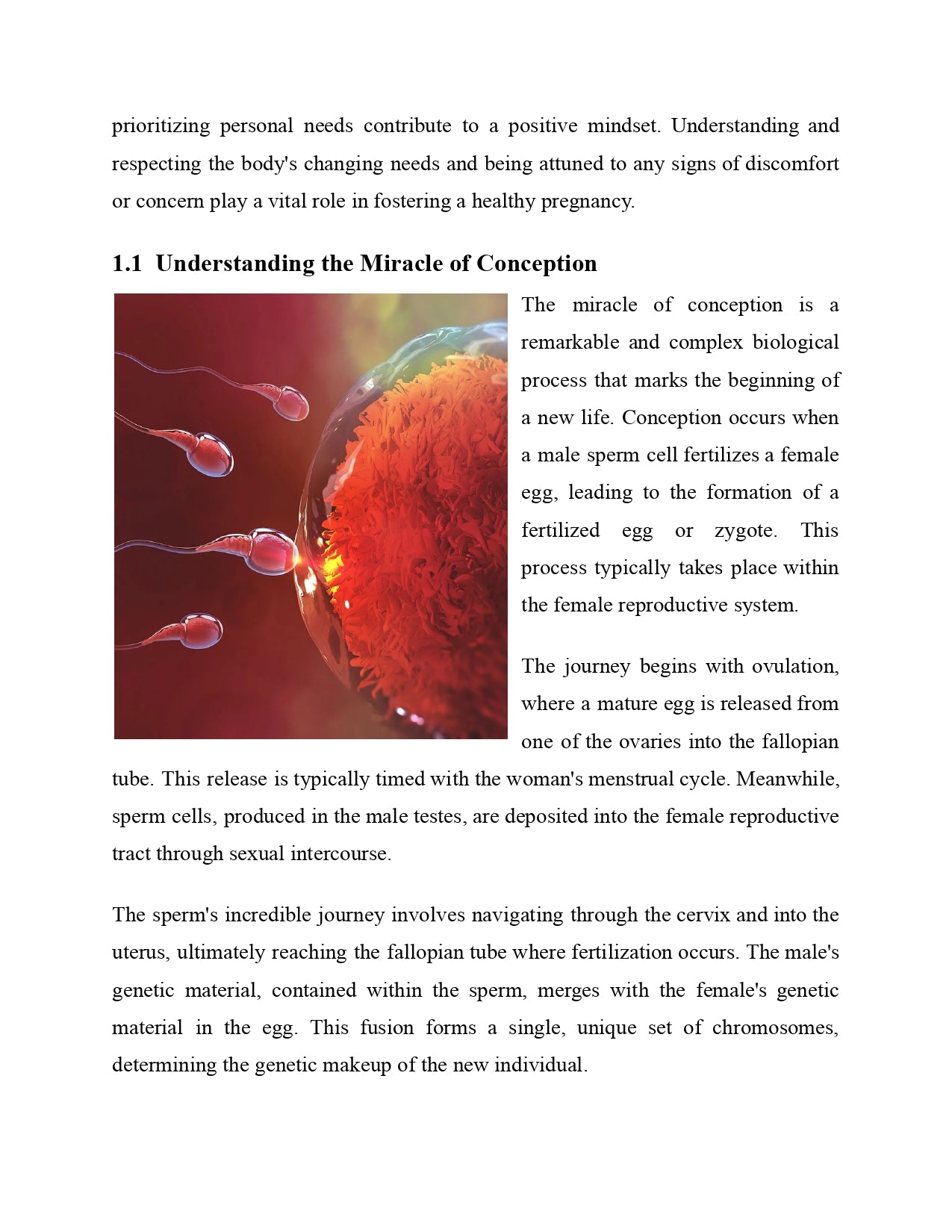 Pregnancy Secrets for a Healthy and Happy Birth