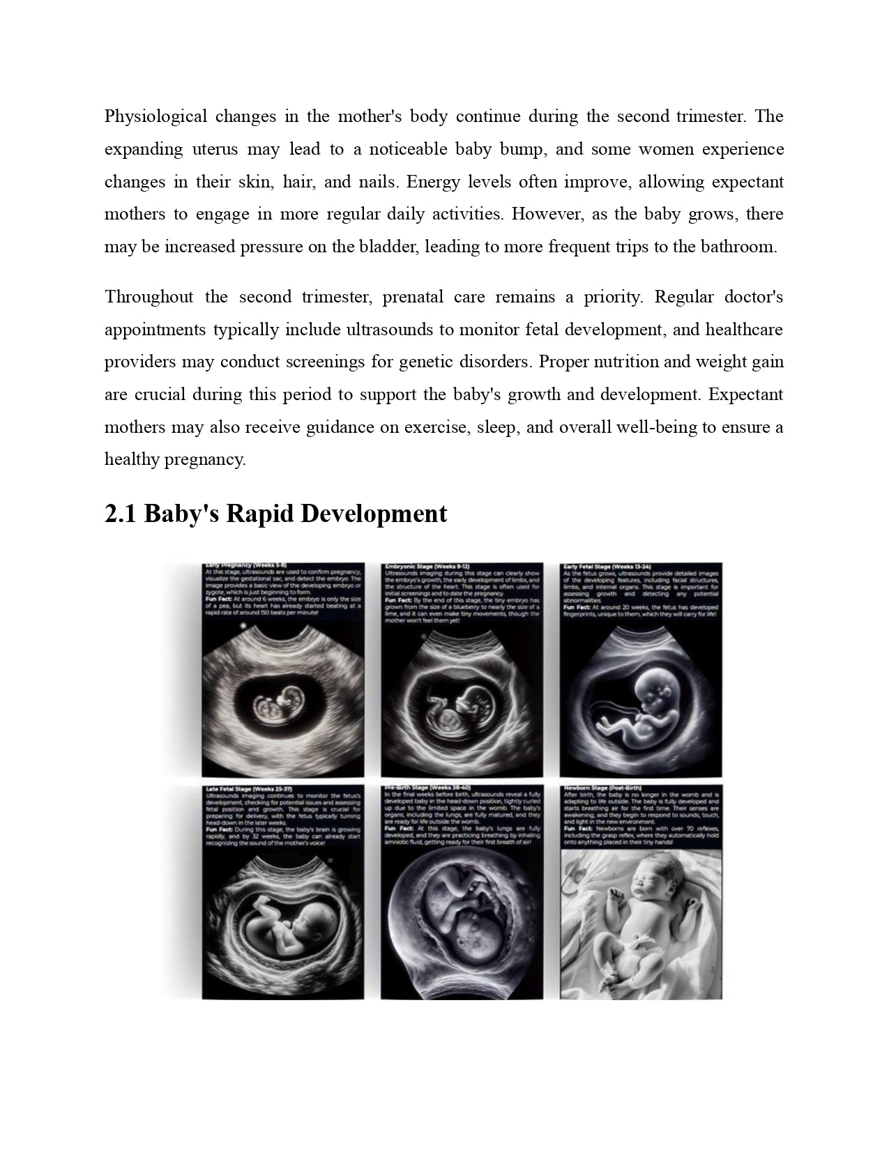 Pregnancy Week by Week: A Visual Guide