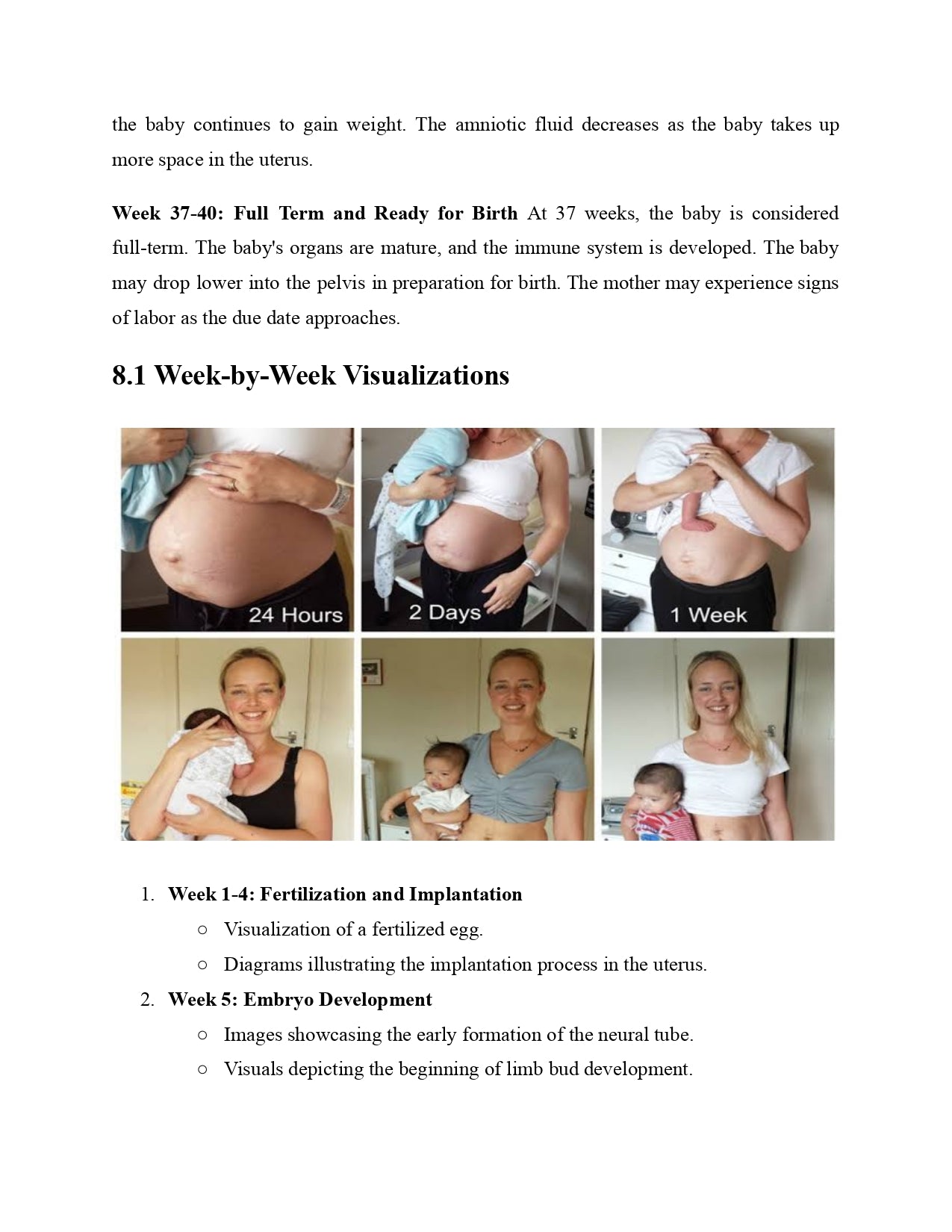 Pregnancy Week by Week: A Visual Guide