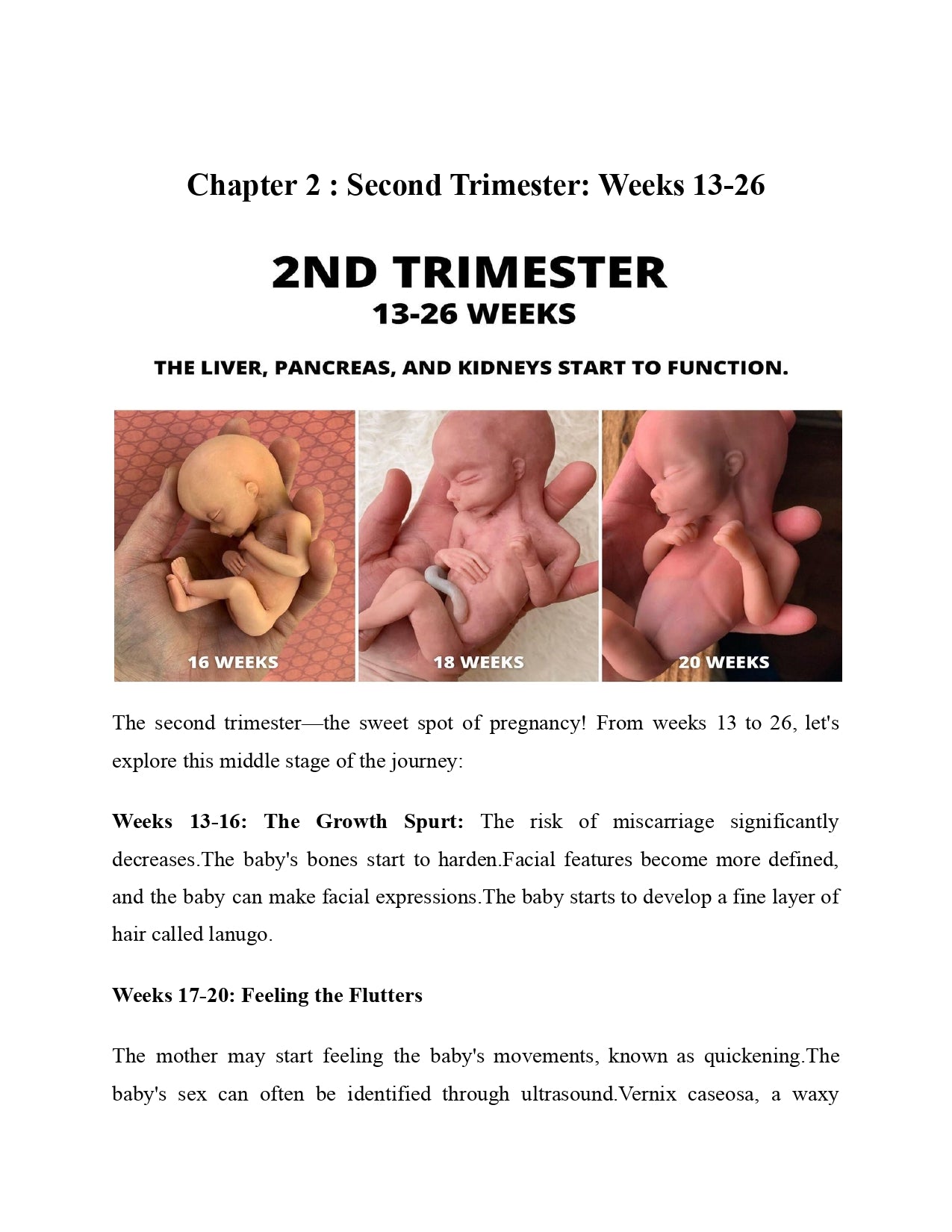 Pregnancy Week by Week: Your Visual Journey