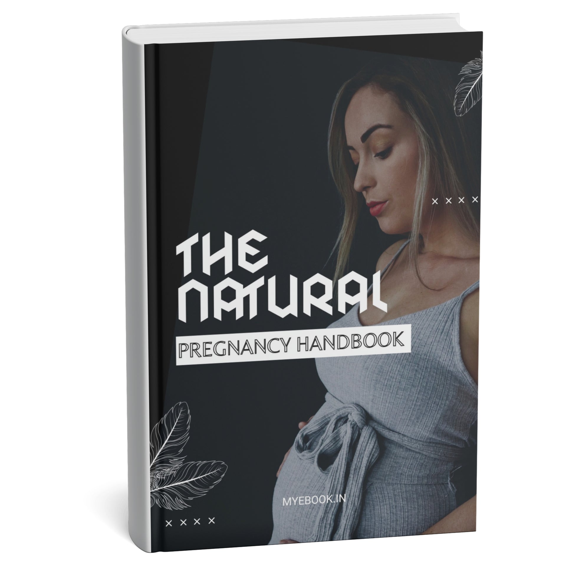 The Natural Pregnancy Handbook