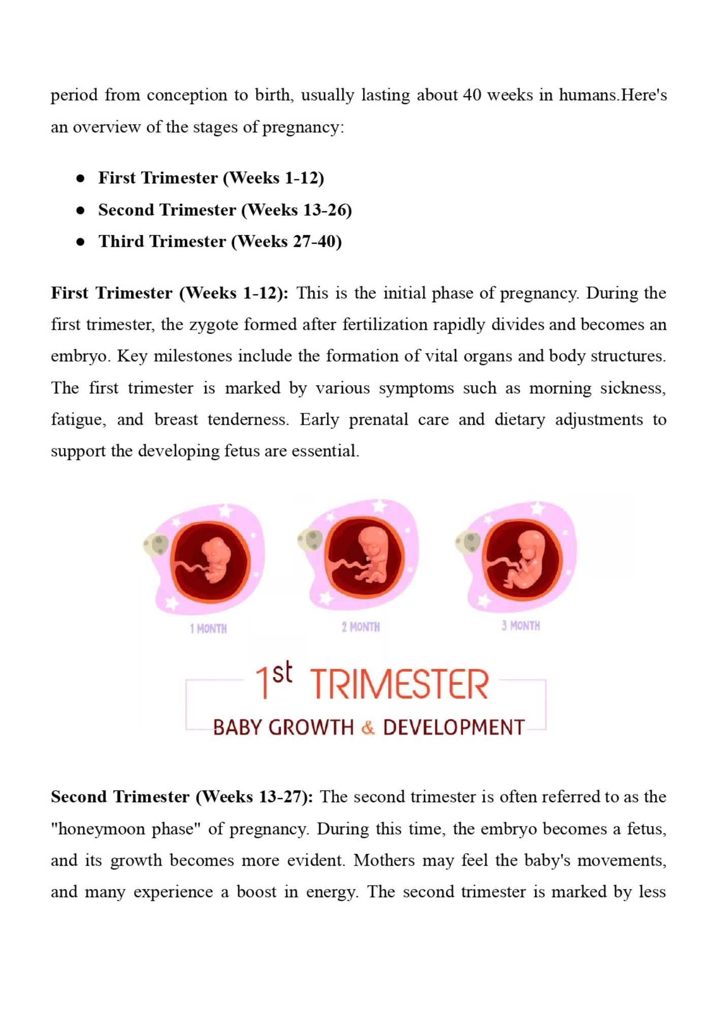 Pregnancy and Birth for Newbies