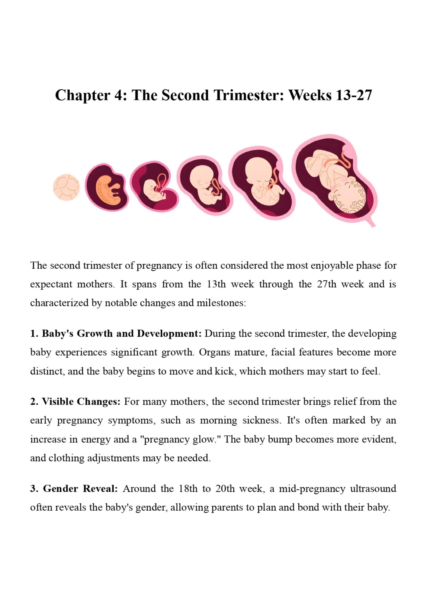 Pregnancy and Birth for Newbies