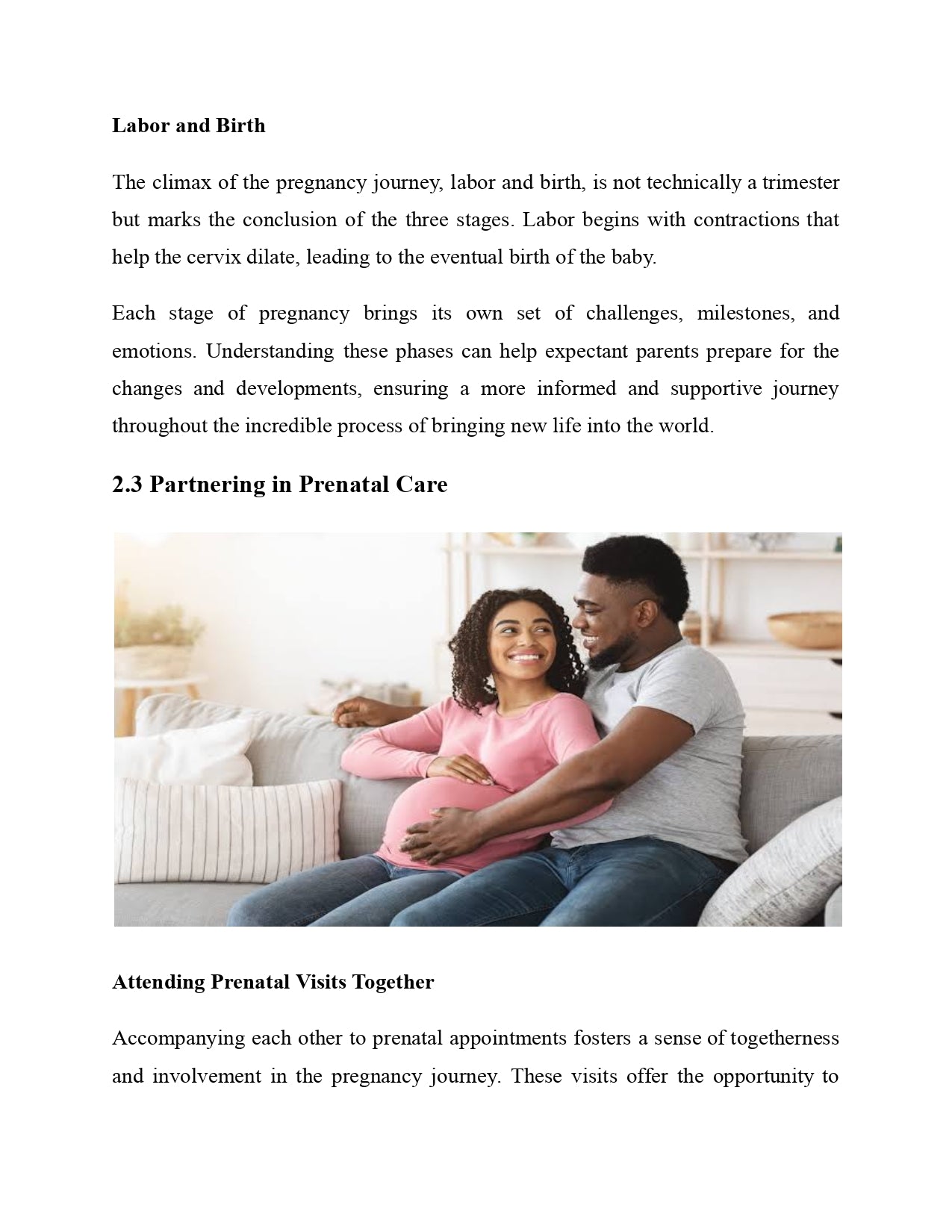 The Dad's Guide to Pregnancy and Birth