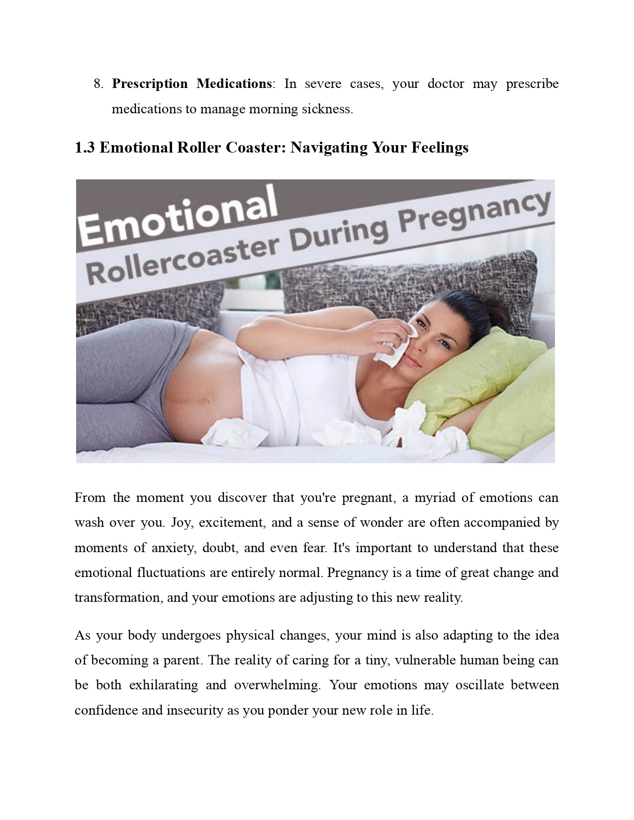 The Happy Pregnancy Journal