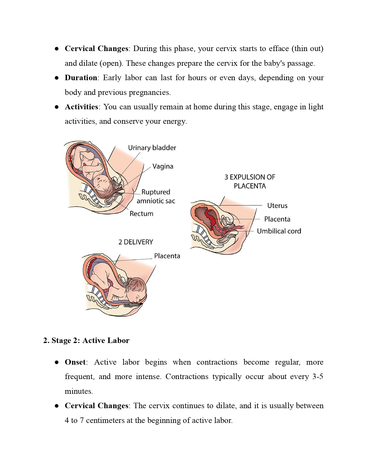 The Happy Pregnancy Journal
