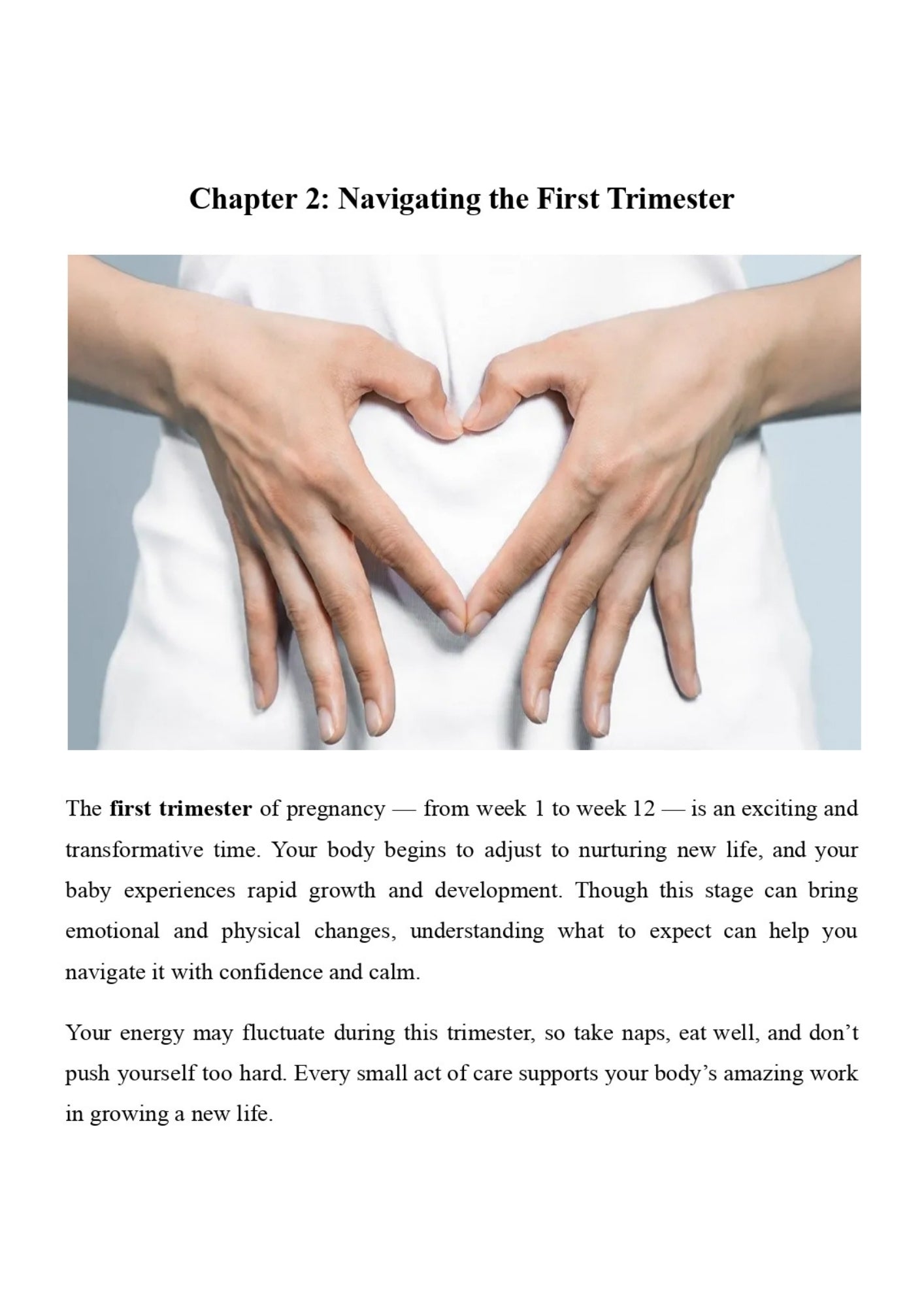 The Mindful Pregnancy Planner