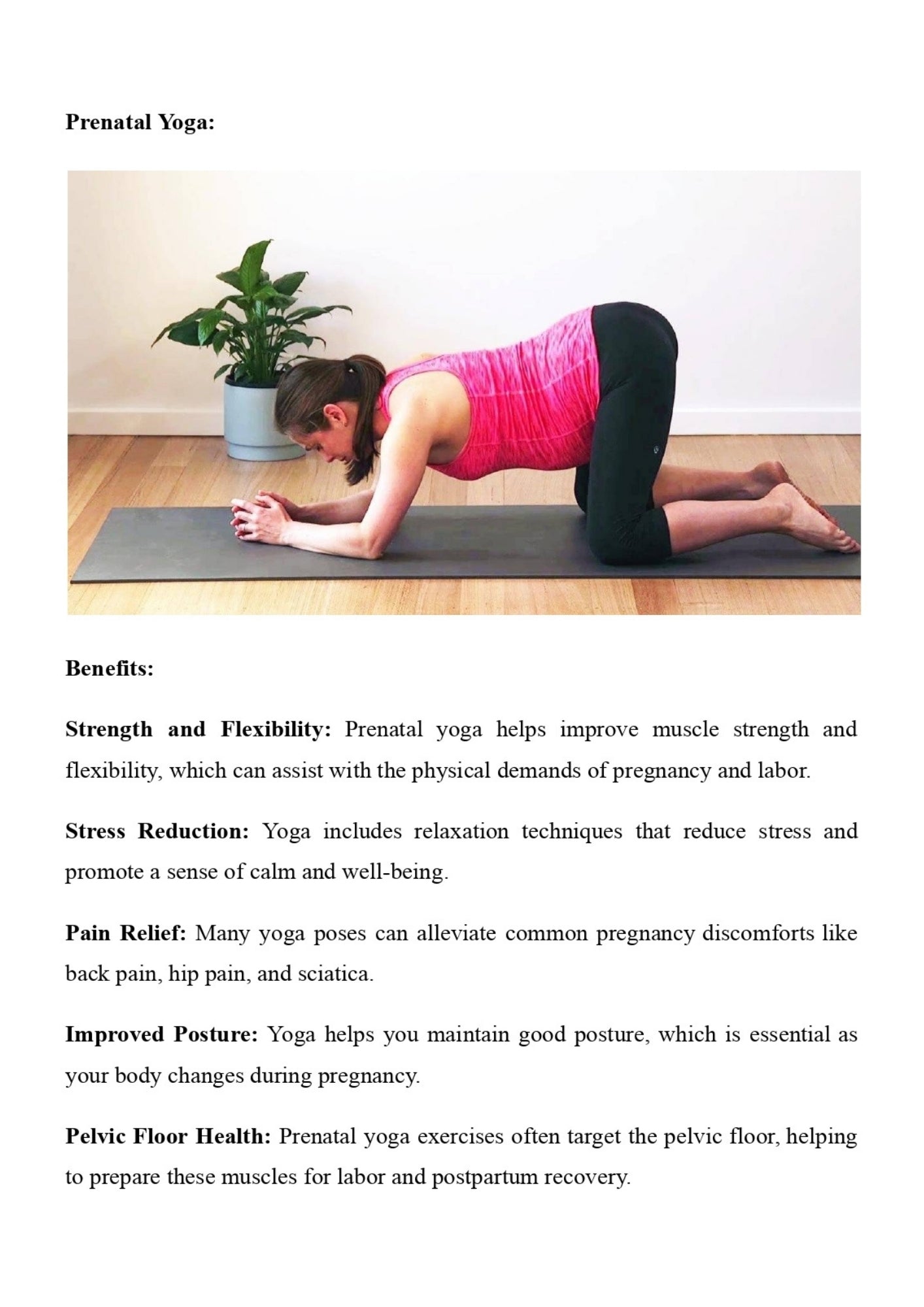 The Mindful Pregnancy Planner