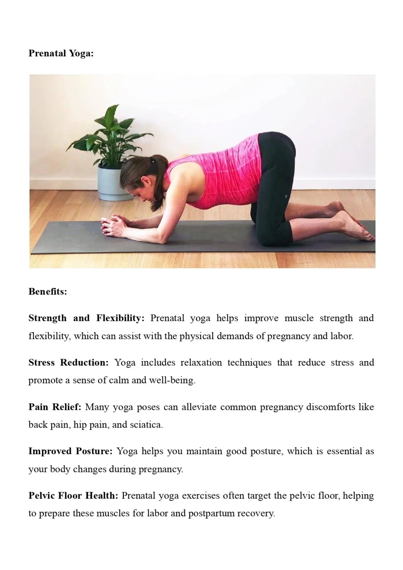 The Mindful Pregnancy Planner