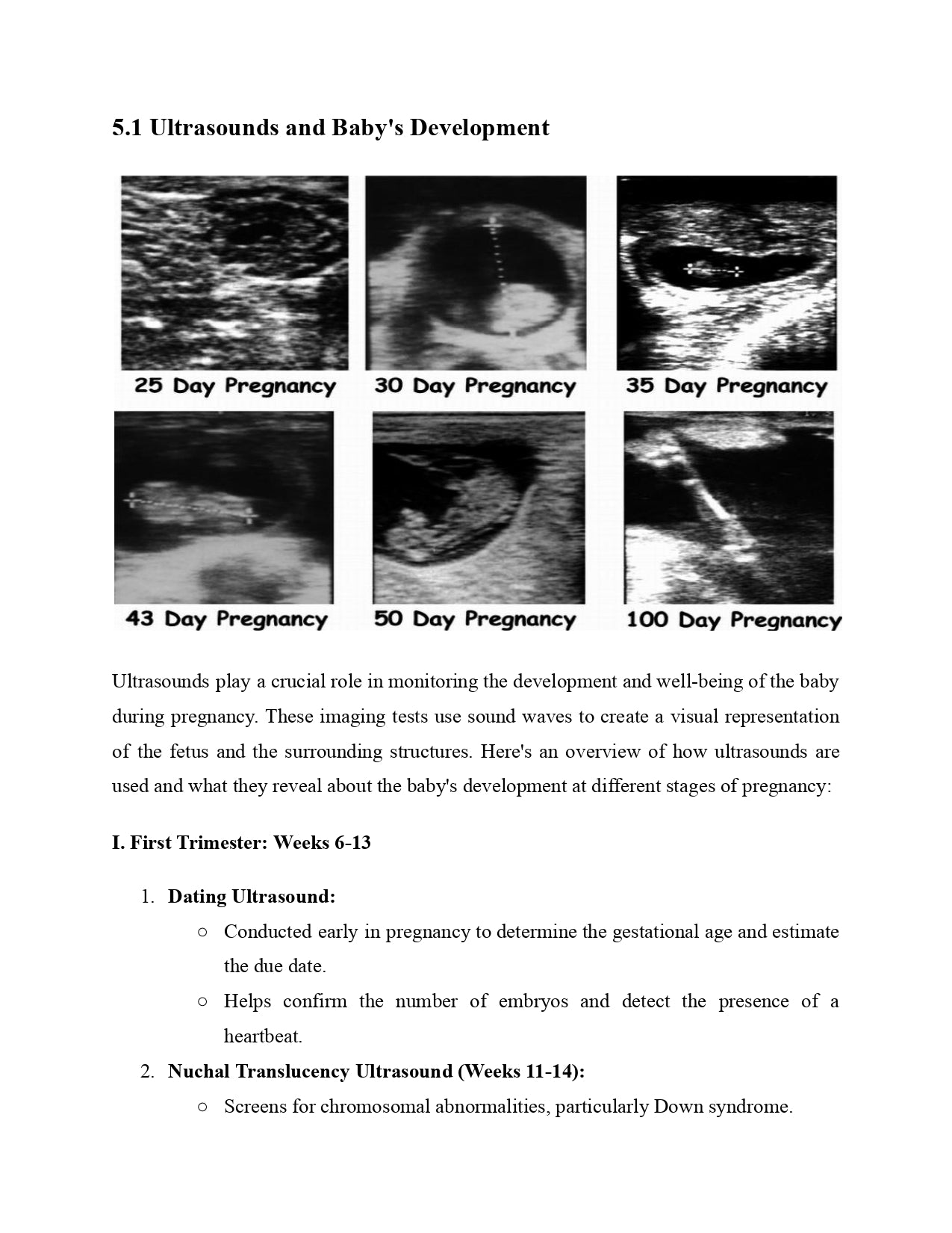 The Pregnancy Countdown Book
