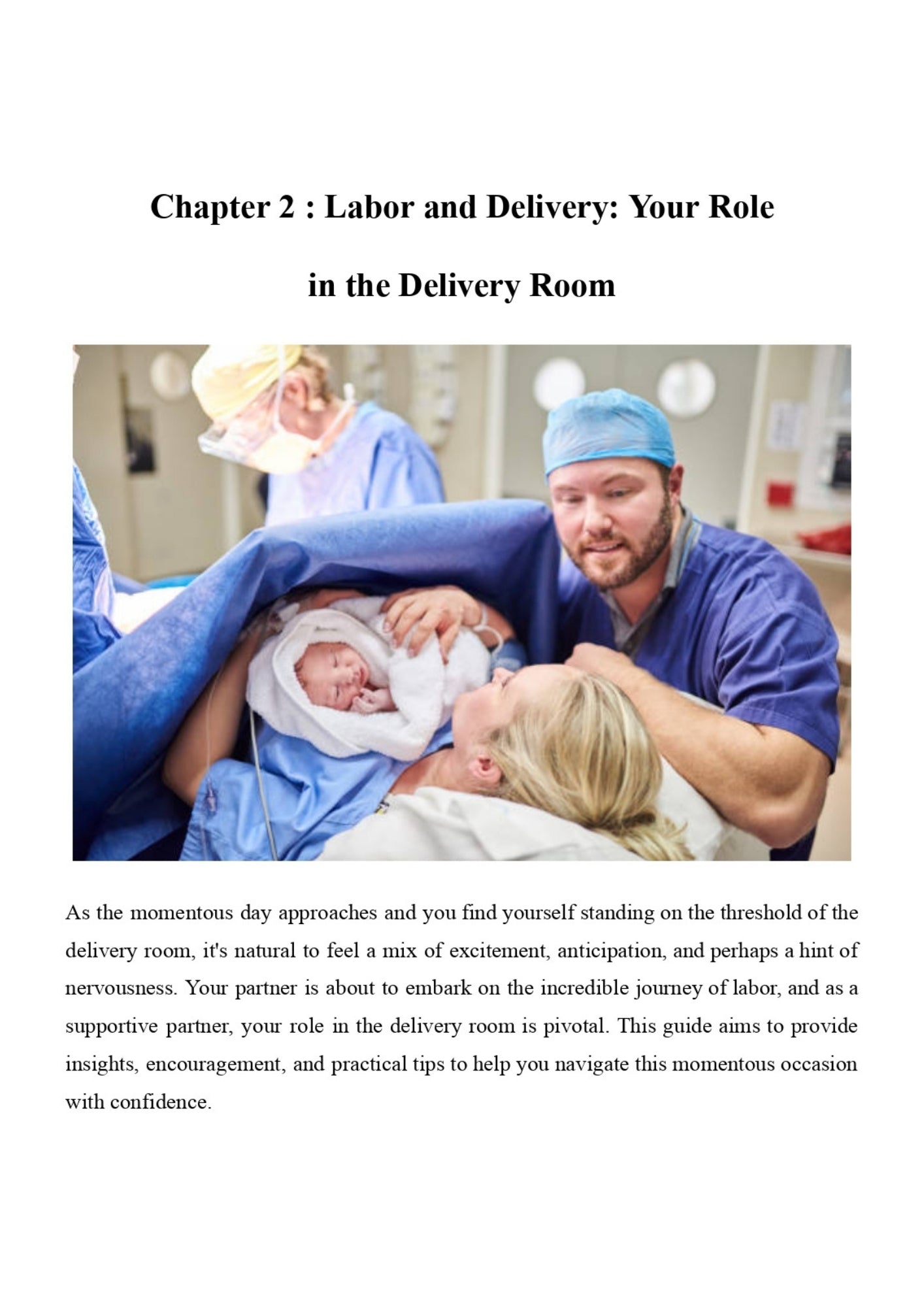 The Pregnancy Handbook for Dads