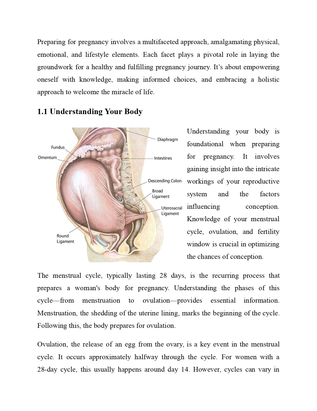 The Natural Pregnancy Handbook