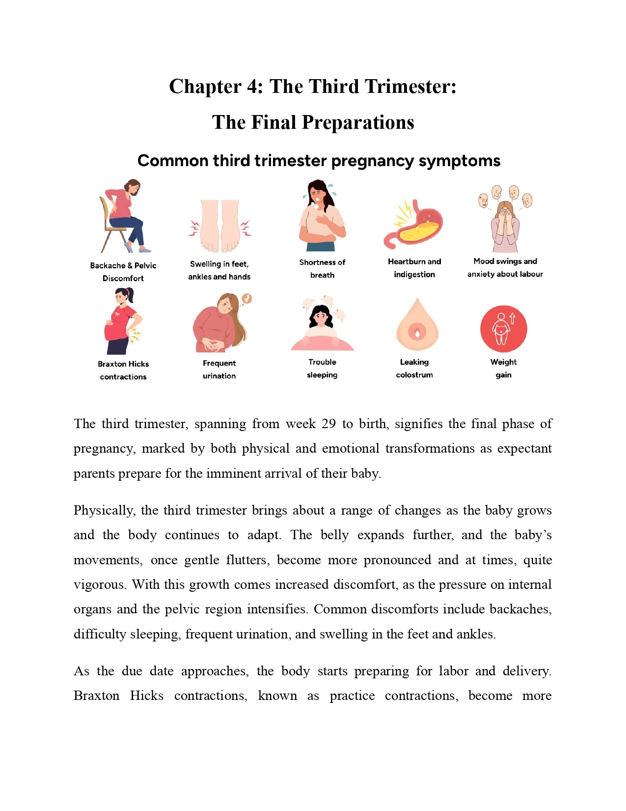 The Natural Pregnancy Handbook